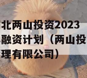 湖北两山投资2023年融资计划（两山投资管理有限公司）