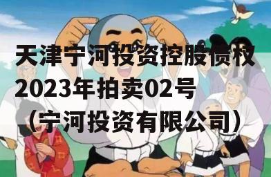 天津宁河投资控股债权2023年拍卖02号（宁河投资有限公司）