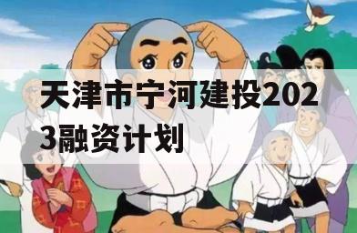 天津市宁河建投2023融资计划