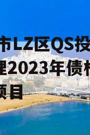 ZB市LZ区QS投资管理2023年债权转让项目