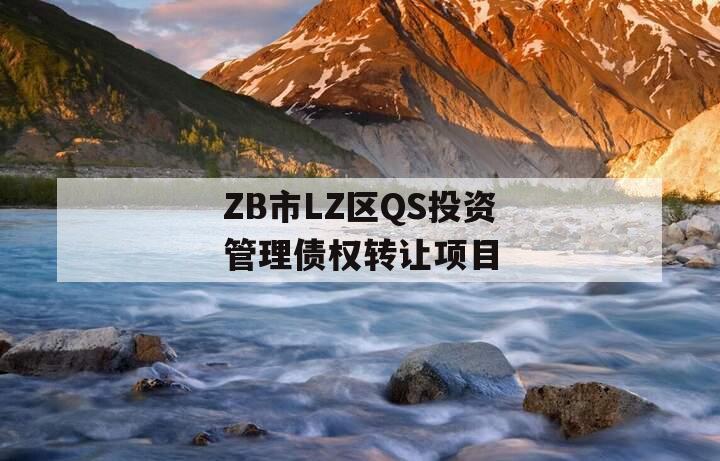 ZB市LZ区QS投资管理债权转让项目