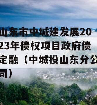 山东市中城建发展2023年债权项目政府债定融（中城投山东分公司）