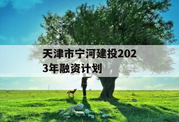 天津市宁河建投2023年融资计划