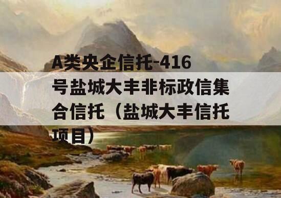 A类央企信托-416号盐城大丰非标政信集合信托（盐城大丰信托项目）