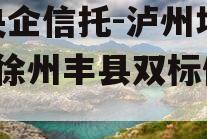 国央企信托-泸州地级市+徐州丰县双标债信托