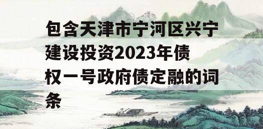 包含天津市宁河区兴宁建设投资2023年债权一号政府债定融的词条