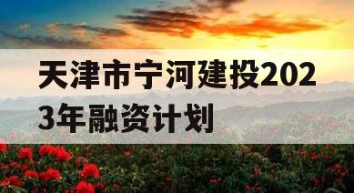 天津市宁河建投2023年融资计划