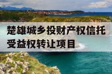 楚雄城乡投财产权信托受益权转让项目