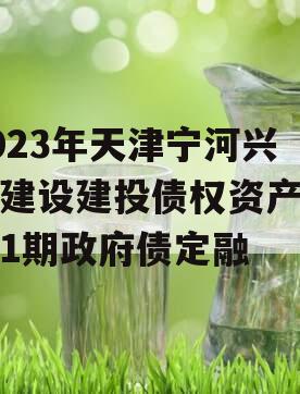 2023年天津宁河兴宁建设建投债权资产转让1期政府债定融