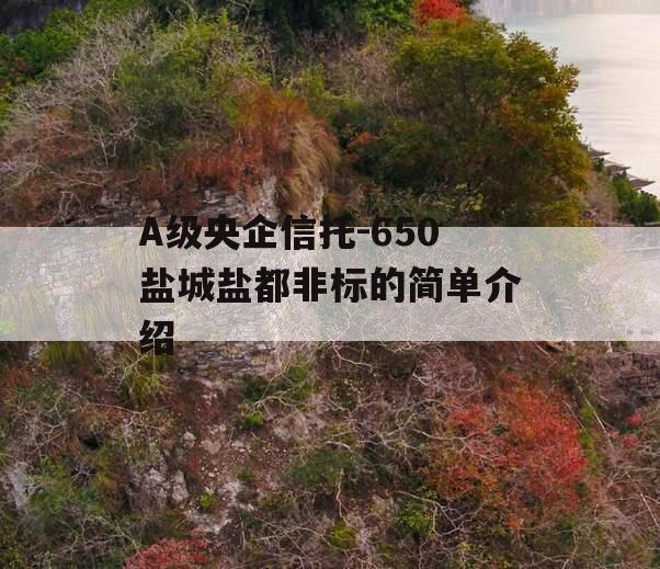 A级央企信托-650盐城盐都非标的简单介绍