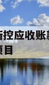 咸阳新控应收账款债权转让项目