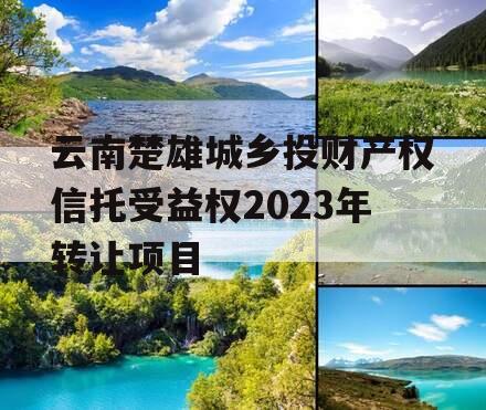 云南楚雄城乡投财产权信托受益权2023年转让项目