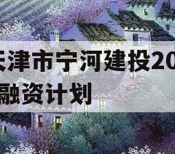 天津市宁河建投2023融资计划