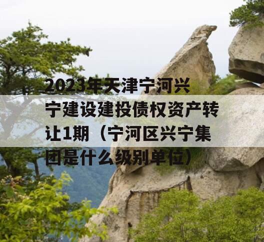 2023年天津宁河兴宁建设建投债权资产转让1期（宁河区兴宁集团是什么级别单位）