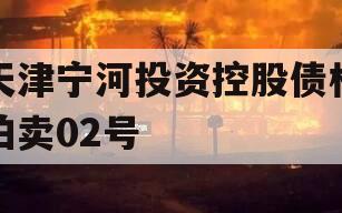 天津宁河投资控股债权拍卖02号