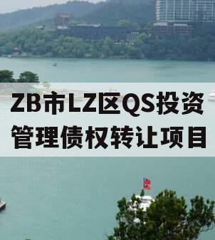 ZB市LZ区QS投资管理债权转让项目