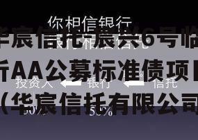 华宸信托-宸兴6号临沂AA公募标准债项目（华宸信托有限公司）