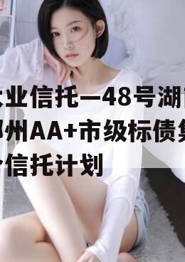 大业信托—48号湖南郴州AA+市级标债集合信托计划