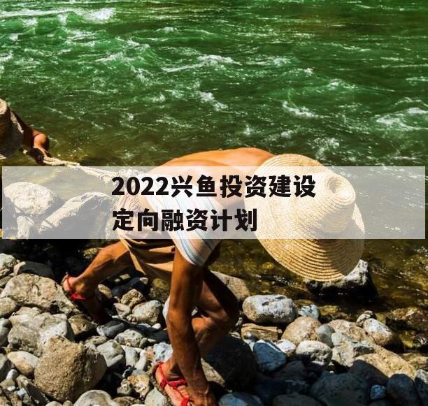 2022兴鱼投资建设定向融资计划