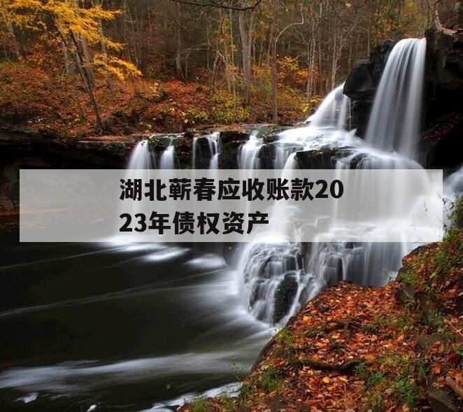 湖北蕲春应收账款2023年债权资产