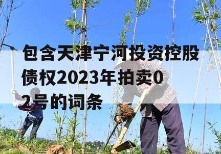 包含天津宁河投资控股债权2023年拍卖02号的词条