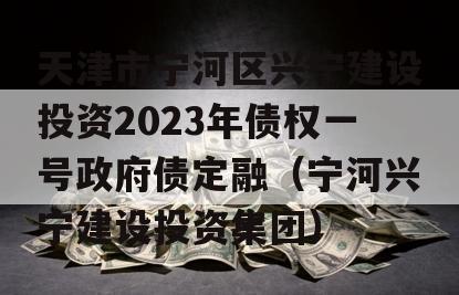 天津市宁河区兴宁建设投资2023年债权一号政府债定融（宁河兴宁建设投资集团）