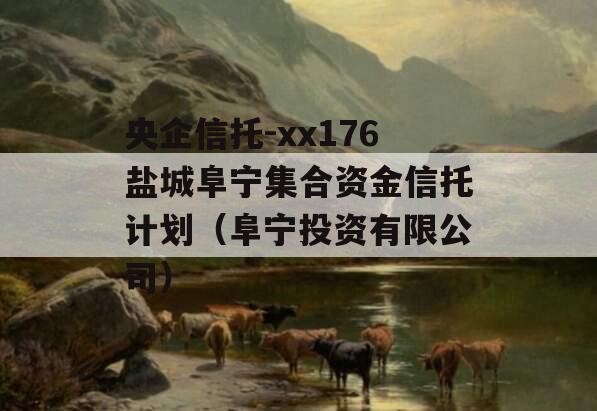 央企信托-xx176盐城阜宁集合资金信托计划（阜宁投资有限公司）