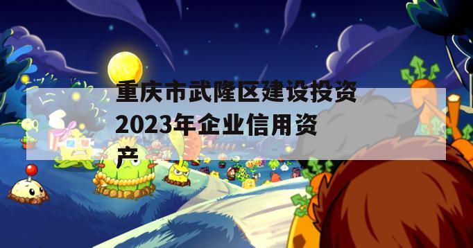 重庆市武隆区建设投资2023年企业信用资产