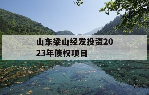 山东梁山经发投资2023年债权项目