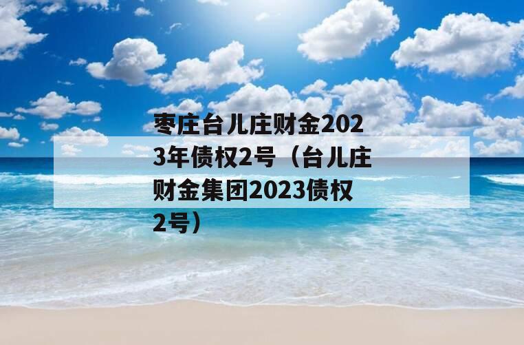 枣庄台儿庄财金2023年债权2号（台儿庄财金集团2023债权2号）