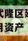 重庆市武隆区建设投资企业信用资产