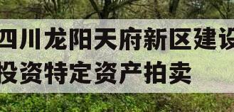 四川龙阳天府新区建设投资特定资产拍卖