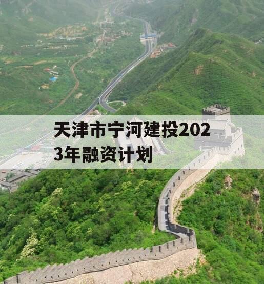 天津市宁河建投2023年融资计划