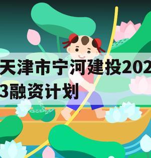 天津市宁河建投2023融资计划