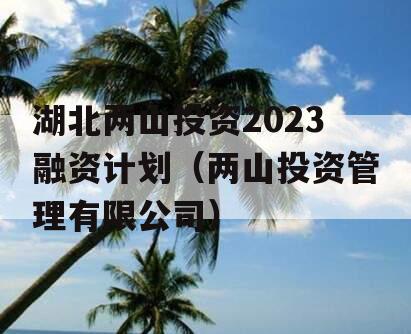 湖北两山投资2023融资计划（两山投资管理有限公司）