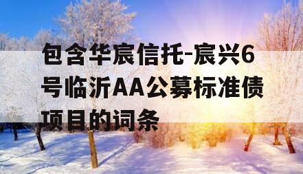 包含华宸信托-宸兴6号临沂AA公募标准债项目的词条