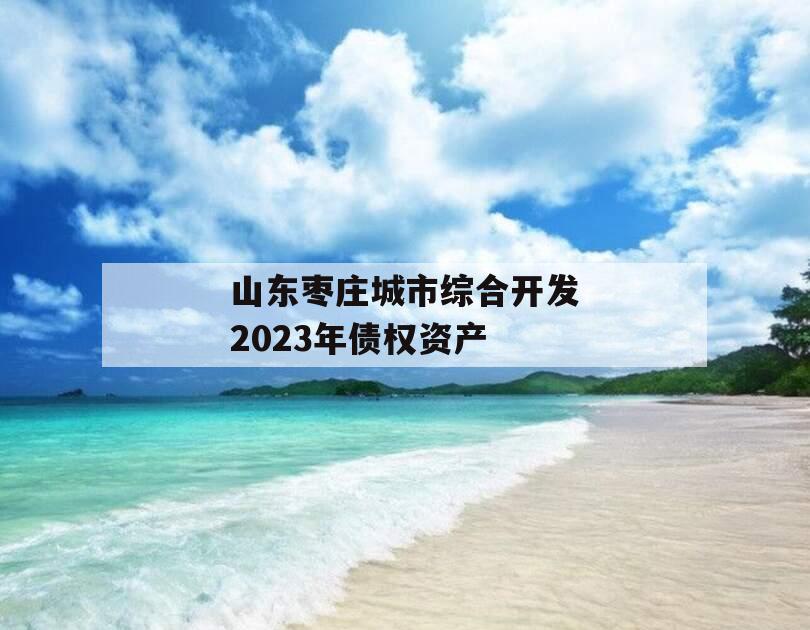 山东枣庄城市综合开发2023年债权资产