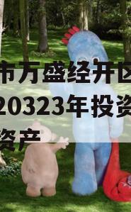 重庆市万盛经开区城市开发20323年投资债权资产