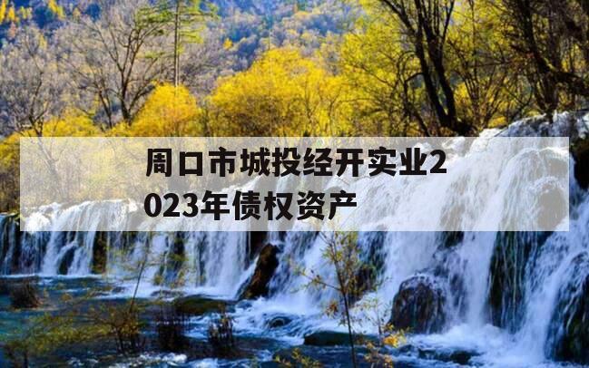 周口市城投经开实业2023年债权资产