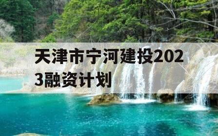 天津市宁河建投2023融资计划