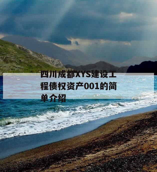 四川成都XYS建设工程债权资产001的简单介绍