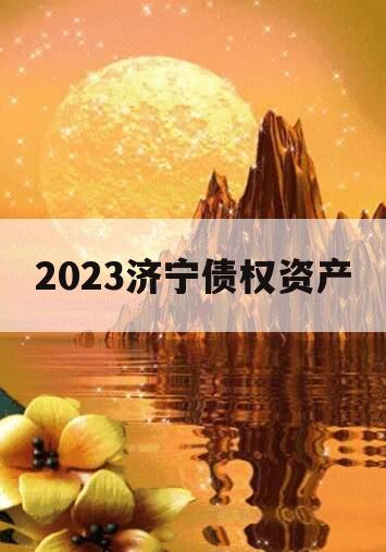 2023济宁债权资产