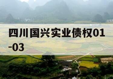 四川国兴实业债权01-03