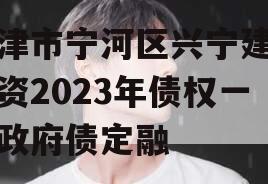 天津市宁河区兴宁建设投资2023年债权一号政府债定融