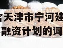 包含天津市宁河建投2023融资计划的词条