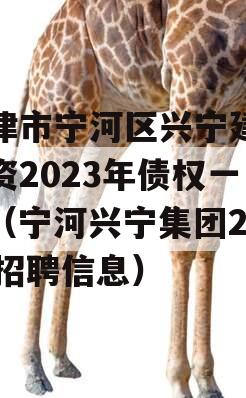 天津市宁河区兴宁建设投资2023年债权一号（宁河兴宁集团2019招聘信息）