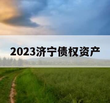 2023济宁债权资产