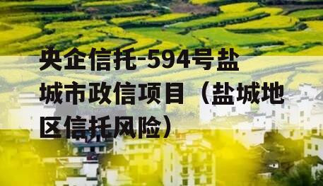 央企信托-594号盐城市政信项目（盐城地区信托风险）