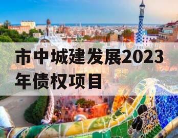 市中城建发展2023年债权项目