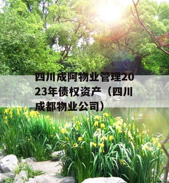 四川成阿物业管理2023年债权资产（四川成都物业公司）